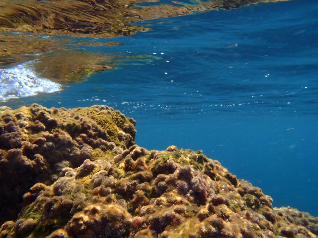 Le Casette Sul Mare Capo Vaticano Eksteriør billede